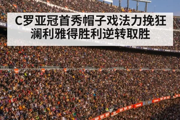 football stadium crowd