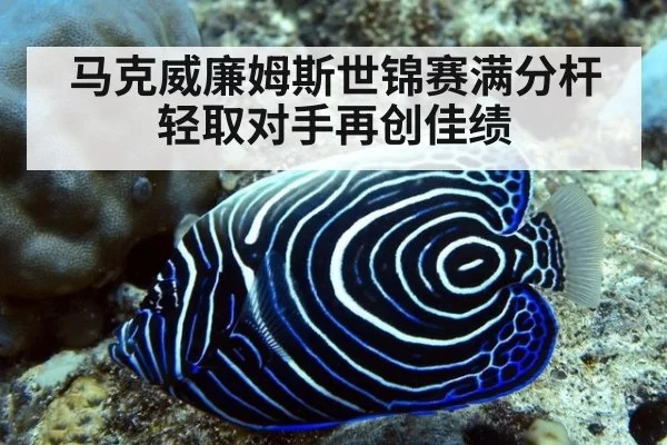 马克威廉姆斯世锦赛满分杆轻取对手再创佳绩